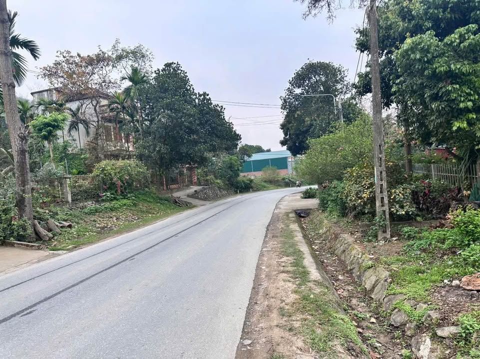 Đất mặt tiền Điện Biên, Phường Duyên Hải, 81m², giá 1.5 tỷ - Cơ hội đầu tư hiếm có!