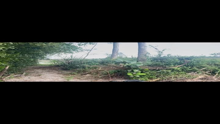 Đất nền Bình Nam, Thăng Bình, Quảng Nam 2000m² - Giá thỏa thuận hấp dẫn!