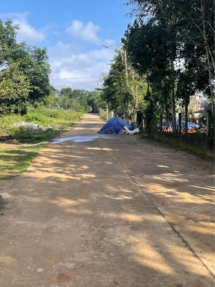 Đất nền Hòa Sơn Đà Nẵng 101m² giá 1.9 tỷ - Sổ hồng chính chủ, ô tô vào tận nơi!