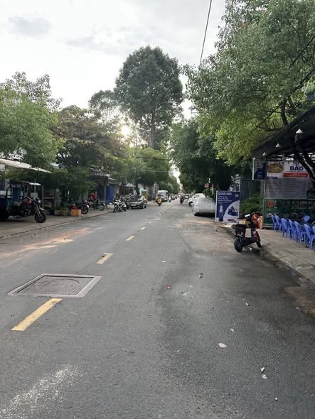 Nhà phố Hòa Bình Tân Phú 297m² giá 18.9 tỷ - Đầu tư sinh lời ngay!