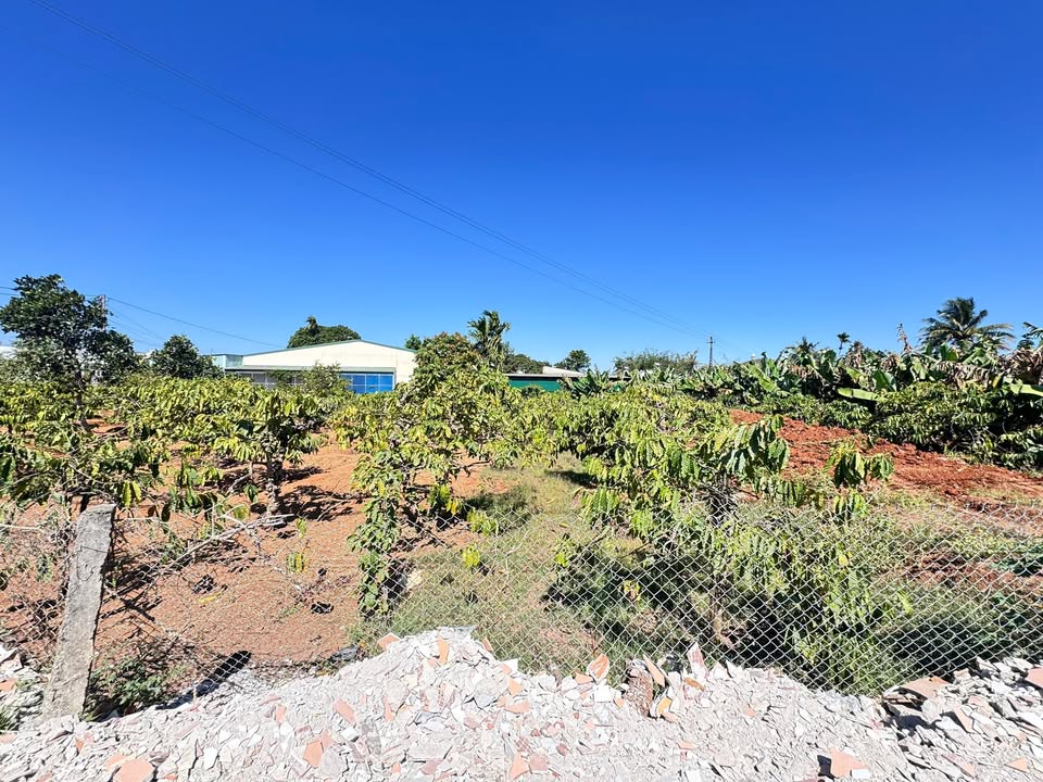 Đất thổ cư 150m² tại hẻm đường Lữ Gia, Pleiku giá 1 tỷ - Cơ hội đầu tư tuyệt vời!