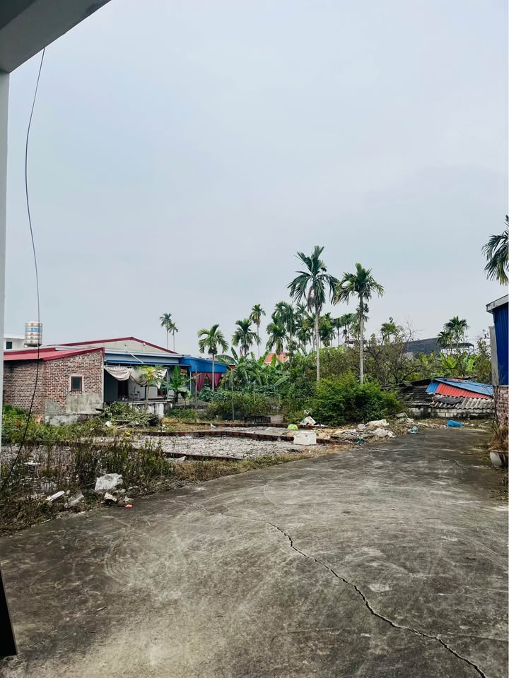 Đất nền Hoa Động, Thủy Nguyên 69m² giá 1.5 tỷ - Vị trí đắc địa gần trung tâm!