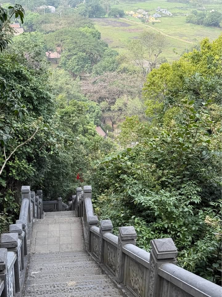 FrontHouse Đầm Xanh Thái Nguyên 174m² giá 6 tỷ - Mặt tiền 8m đuôi thông thoáng!