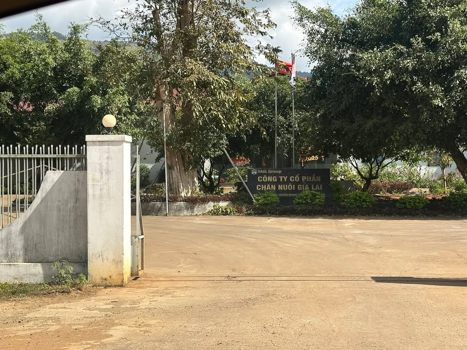 Đất thổ cư 3200m² tại TL 666, Mang Yang - Giá chỉ 17.6 tỷ VND, cơ hội đầu tư tiềm năng!