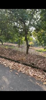 Đất nền mặt tiền nhựa xã Đông Hòa, Trảng Bom 1259m² giá 3.4 tỷ - Cơ hội đầu tư lý tưởng!