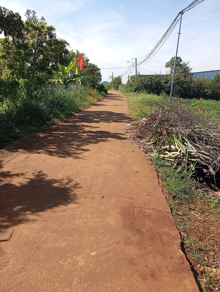 Đất ở Tân Hà, Lâm Hà 15.000m² giá chỉ 460 triệu - Cơ hội đầu tư tuyệt vời!