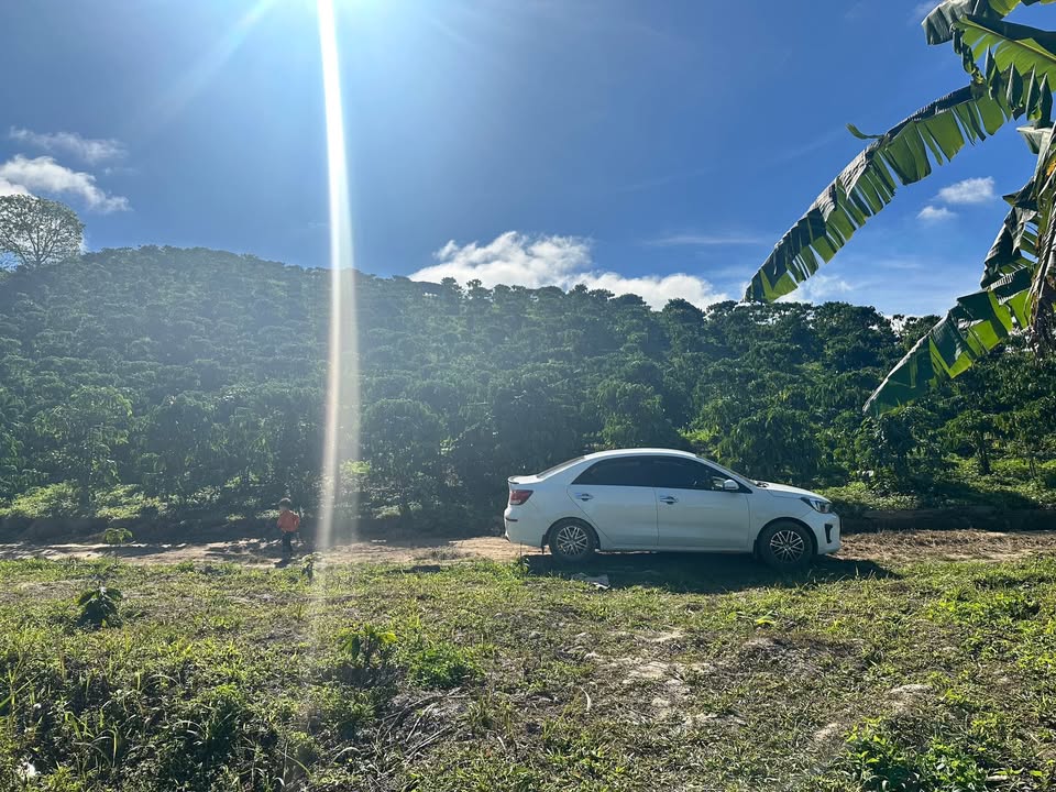 Đất 9 sào tại Đam Rông 1,35 tỷ - Phù hợp đầu tư hoặc nghỉ dưỡng!