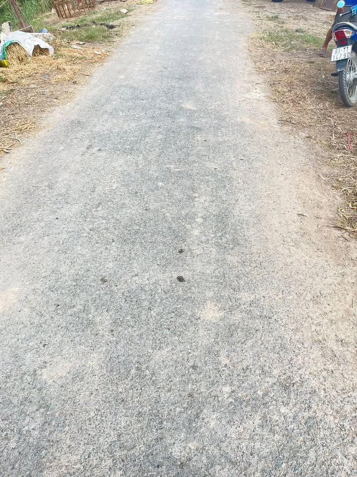 Đất nông nghiệp Tân Công Sính 11.250m² giá 150 triệu - Đầu tư sinh lời dễ dàng!