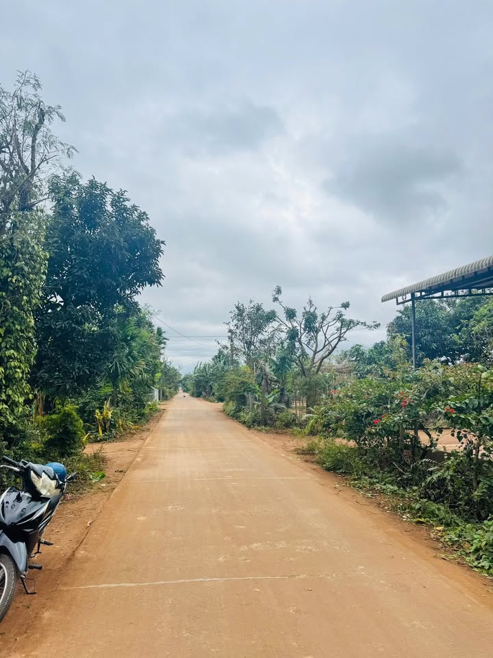 Đất thổ cư Cư Huê 110m² giá 500 triệu - Đường bê tông, gần trường học!