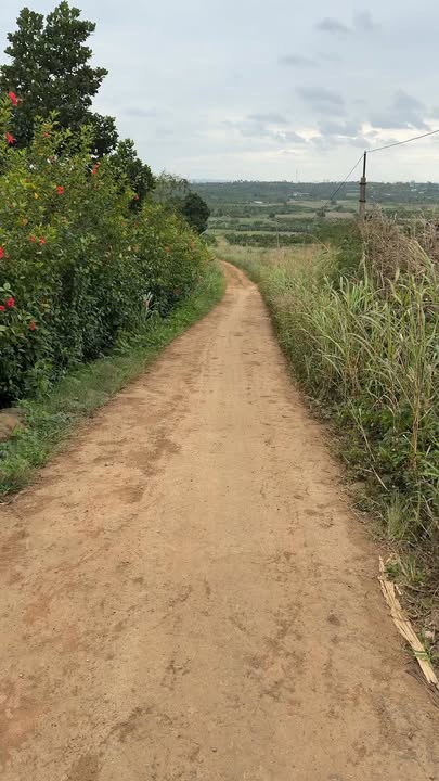 Đất nông nghiệp 2ha tại thôn E Kung, Ea Kar, Đắk Lắk - Giá tốt chỉ 3,25 tỷ!