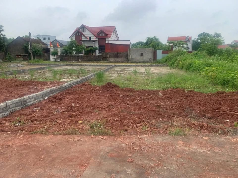 Đất nền Hoàng Lương Hiệp Hòa 200m² giá chỉ 500 triệu - Cơ hội đầu tư hấp dẫn!