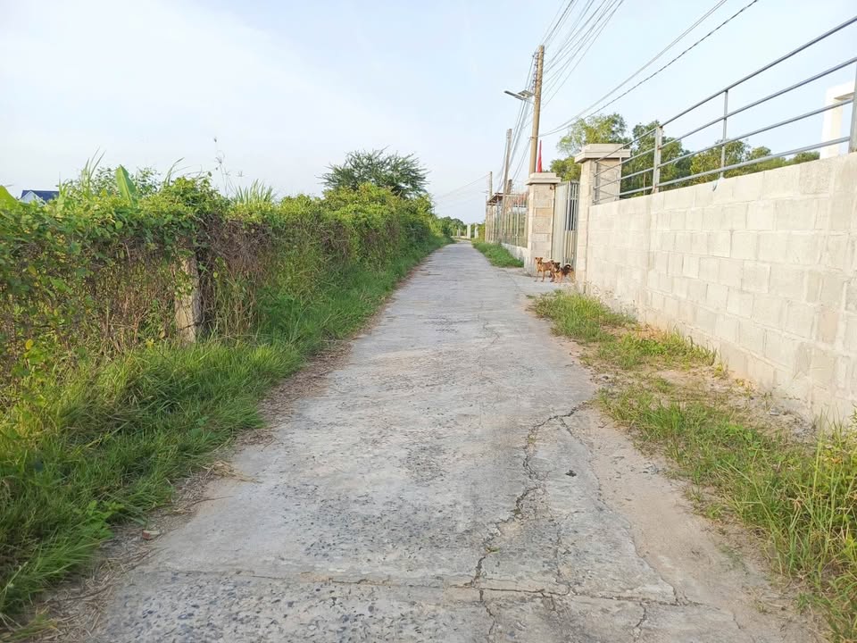 Đất cây trồng lâu năm Thôn Bình An - Diện tích 1200m² - Giá chỉ 700 triệu!