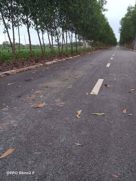 Đất nền An Viên Trảng Bom 100m² giá 299 triệu - Đầu tư sinh lời ngay!