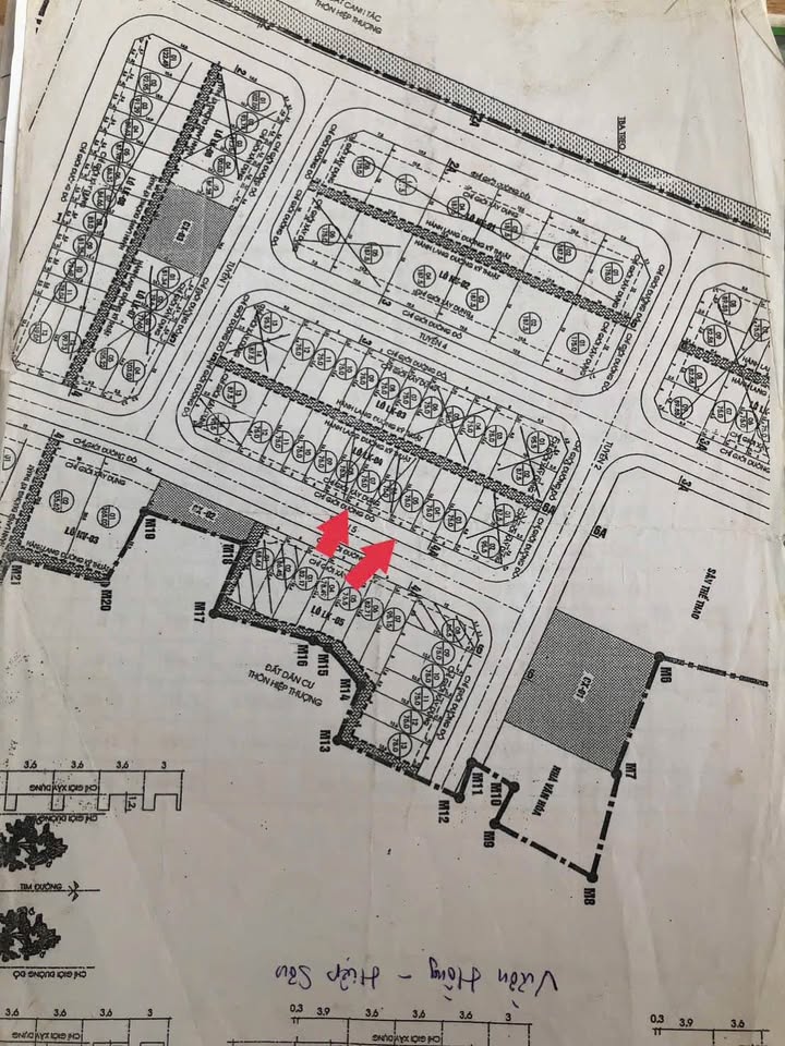 Đất đấu giá Khu Vườn Hồng - Hiệp Sơn, Kinh Môn 75m² giá 1 tỷ - Cơ hội đầu tư hấp dẫn!