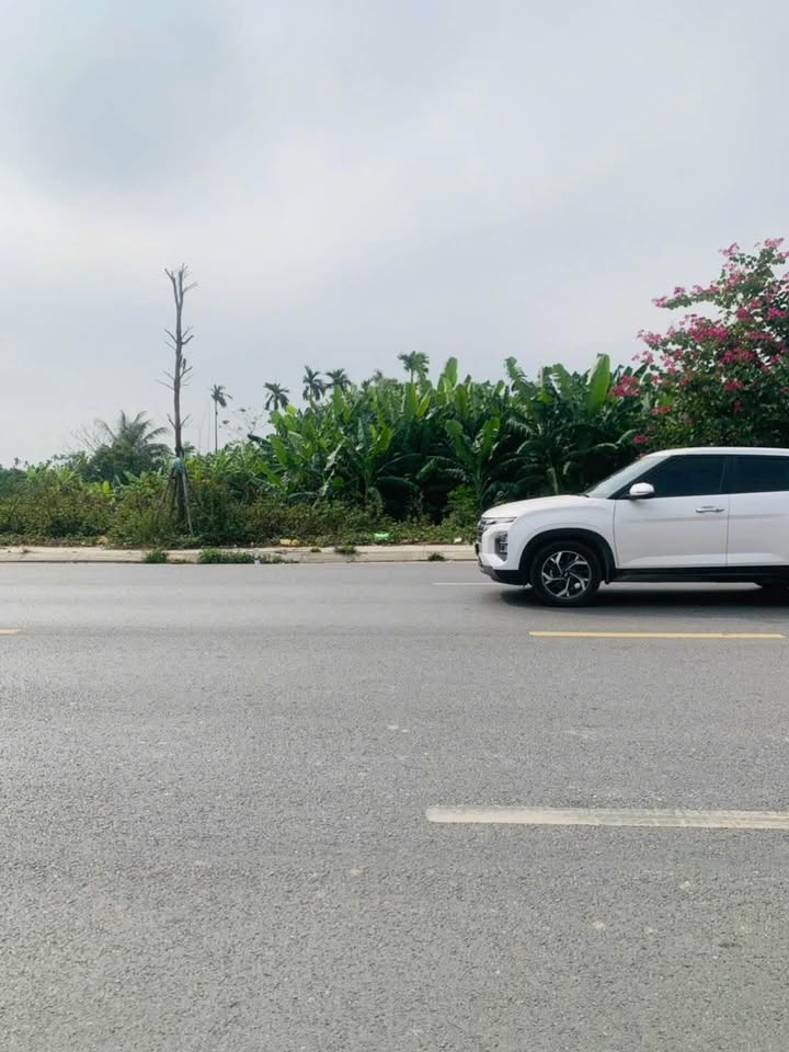 Đất 3 mặt đường Thủy Sơn, Thủy Nguyên 483m² - Đầu tư sinh lời ngay!