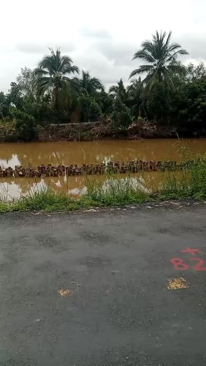 Đất mặt tiền TL864 Cái Bè 23600m² giá 2.5 tỷ - Tiềm năng đầu tư lớn