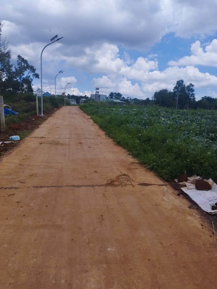 Đất hẻm Văn Cao Pleiku 200m² giá 500 triệu - Hướng Đông, đường ô tô thuận tiện!