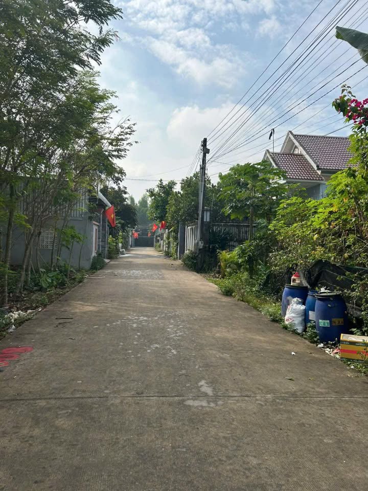 Đất nền xã An Viễn, Trảng Bom 250m² giá chỉ 1.6 tỷ - Sổ đỏ chính chủ!