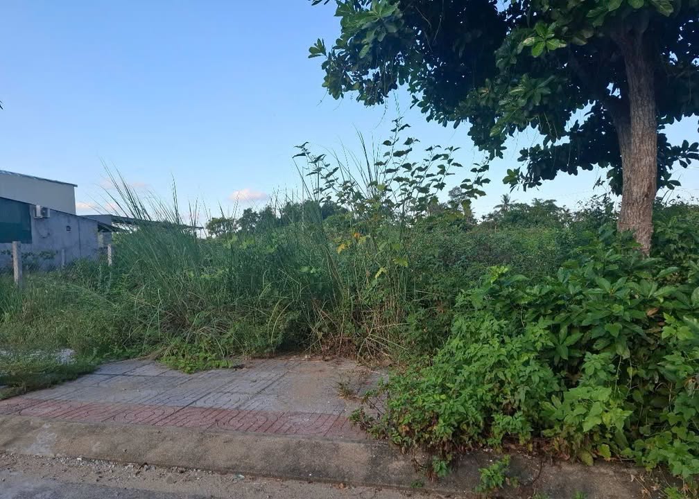 Đất nền Khu Dân Cư Điền Viên, Quảng Ngãi 110m² giá 1 tỷ - Cơ hội đầu tư tuyệt vời!