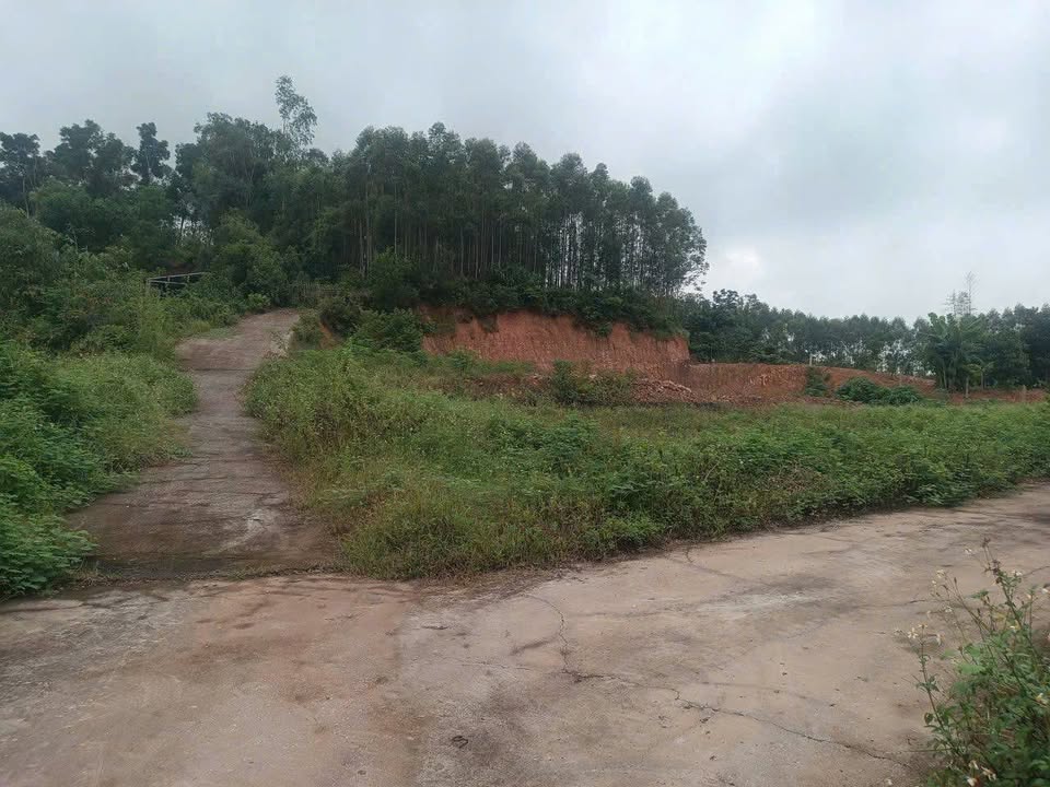 Đất nền Đồng Phúc, Yên Dũng 209m² - Đầu tư sinh lời nhanh chóng!