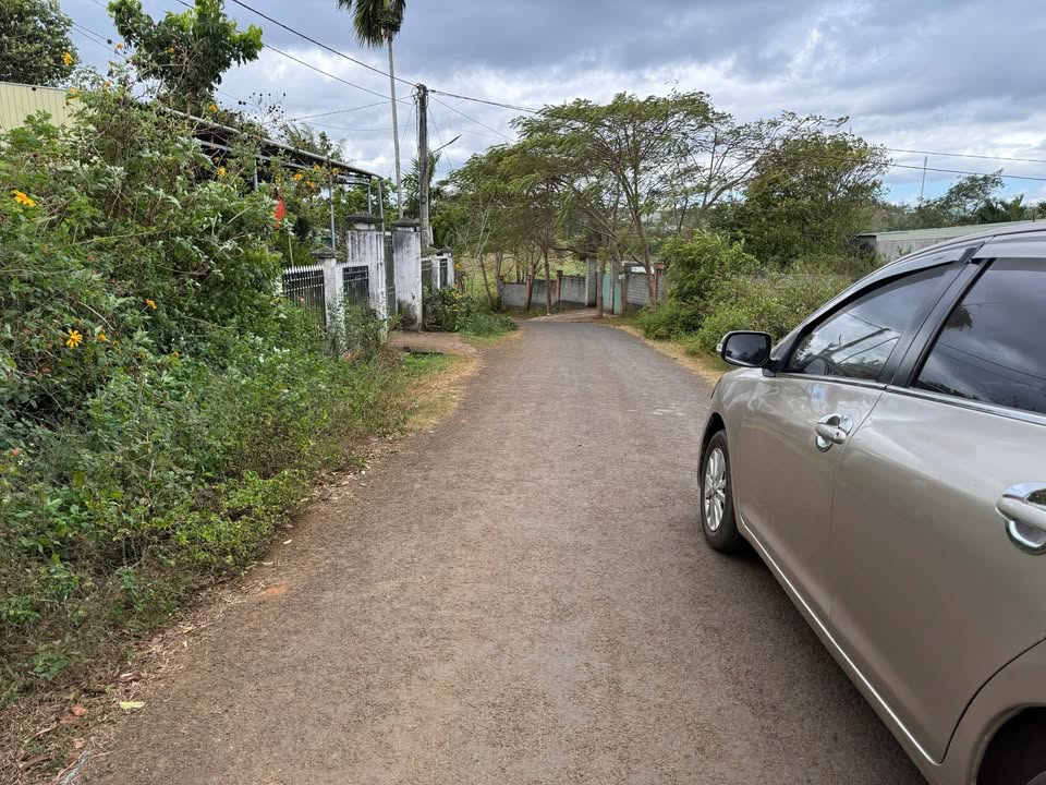 Đất nền mặt tiền Nguyễn Tuân, phường An Phú, Gia Lai 150m² - Giá chỉ 800 triệu!