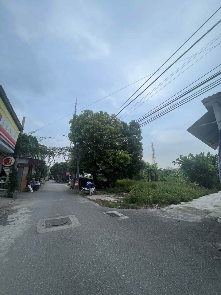 Đất nền Nho Quan Ninh Bình 534.3m² - Đầu tư sinh lời hấp dẫn!