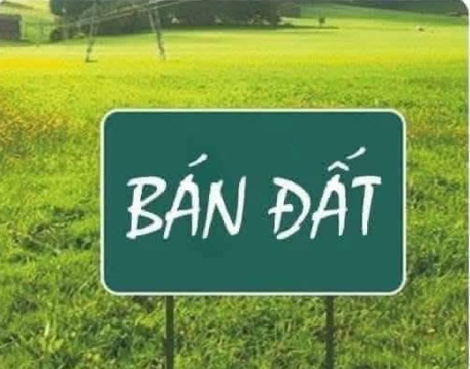 Đất nền Trà Xuân Trà Bồng 100m² giá 300 triệu - Gần trường học, đầu tư sinh lời!