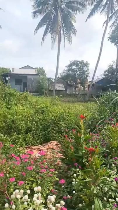 Đất mặt tiền đường bê tông Phổ Vinh 169m² - Pháp lý rõ ràng, giá tốt!