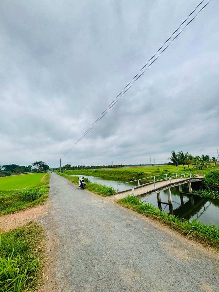 Đất vườn 1,6 công Lương Hòa A, Châu Thành giá thỏa thuận - Không gian xanh lý tưởng!