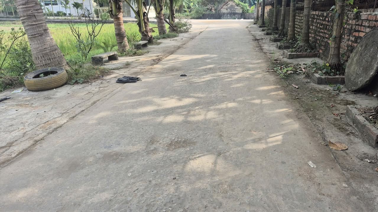 Đất nền Bỉm Sơn Thanh Hóa 115m² giá 800 triệu - Cơ hội đầu tư hấp dẫn!