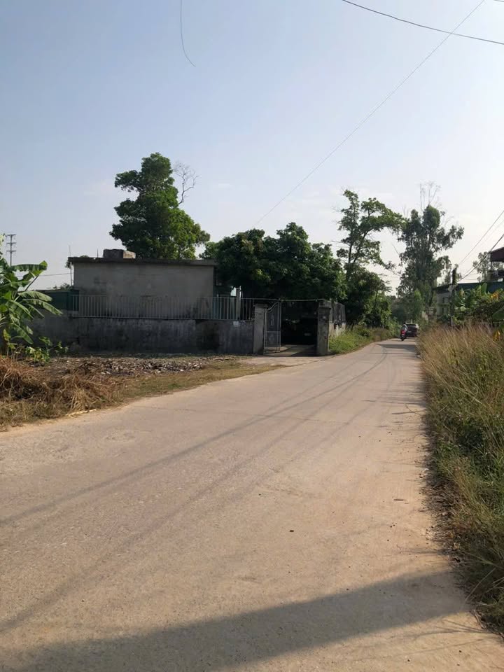 Đất thổ cư Quảng Yên 130m² - Đầu tư sinh lời ngay tại trục chính!