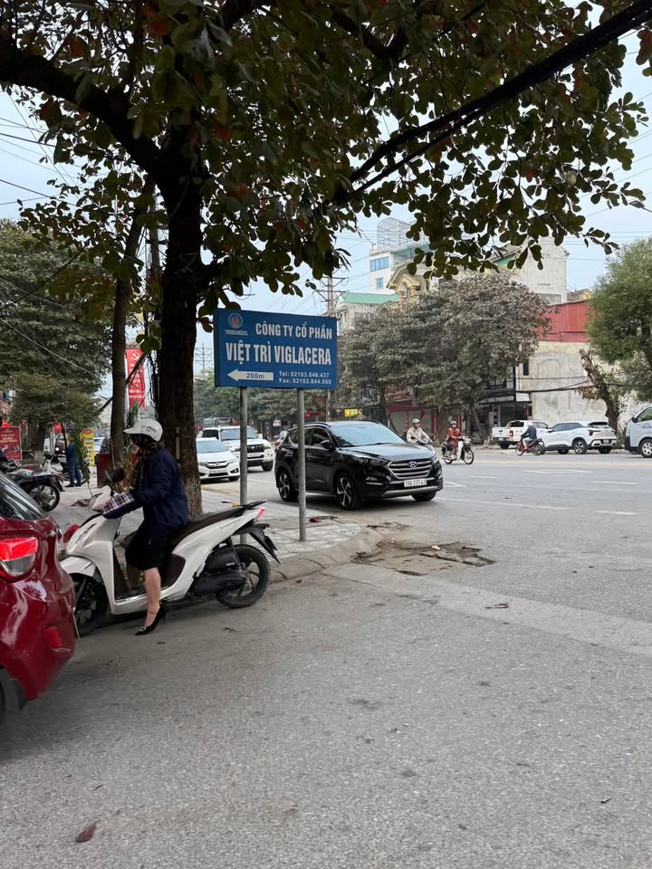 Đất Tiên Cát, Việt Trì 90m² giá 3.9 tỷ - Đầu tư sinh lời lý tưởng!