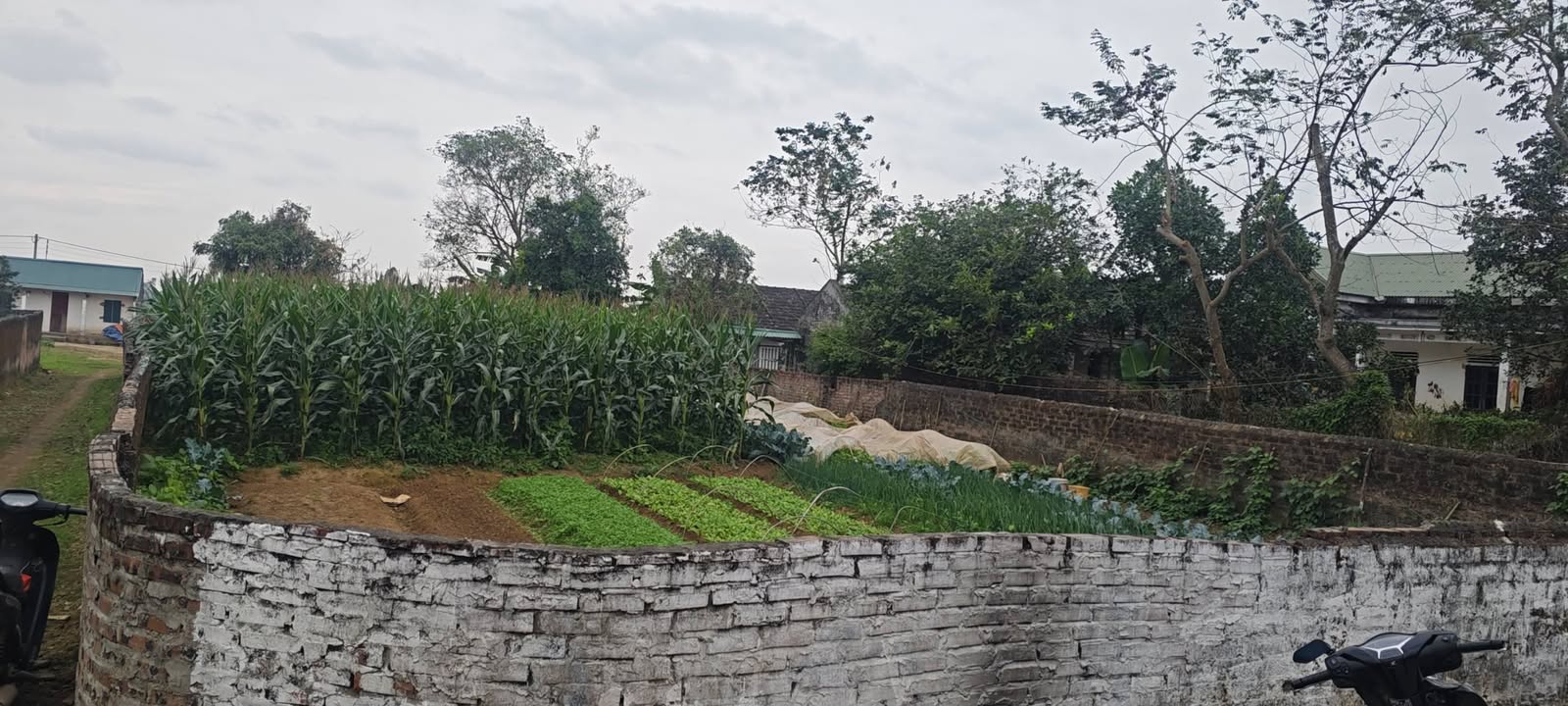 Đất nền Khánh Hải Yên Khánh 500m² giá thỏa thuận - Cơ hội đầu tư tuyệt vời!