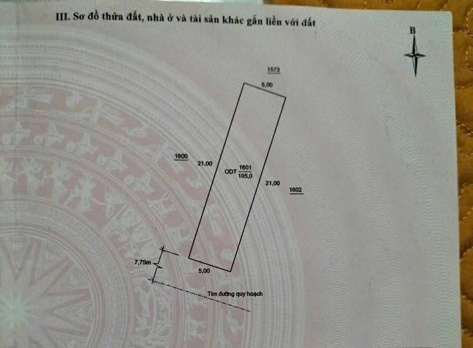 Lô đất Đông Tân 105m² giá 1.9 tỷ - Cơ hội đầu tư hấp dẫn!