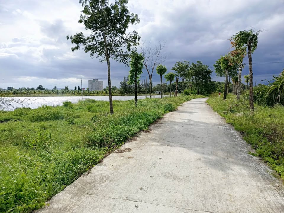 Lô đất mặt tiền bê tông Thôn Đại Lộc, 1100m² - Cơ hội đầu tư hấp dẫn!