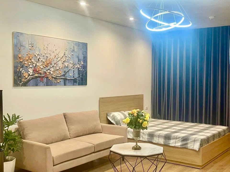 Căn hộ Studio cho thuê chung cư Bim 30 tầng Hạ Long 4.5 triệu - Đông Nam mát mẻ!