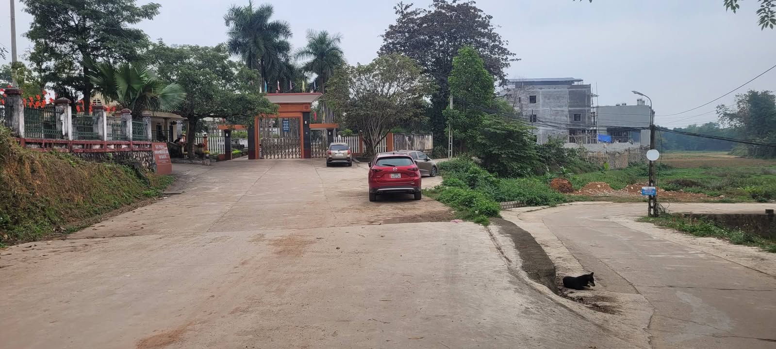 Đất thổ cư Thịnh Đán 1400m² giá chỉ 5 triệu/m² - Đầu tư sinh lời ngay!