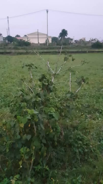 Đất nền Khánh Mậu, Yên Khánh 125m² - Đầu tư sinh lời ngay!