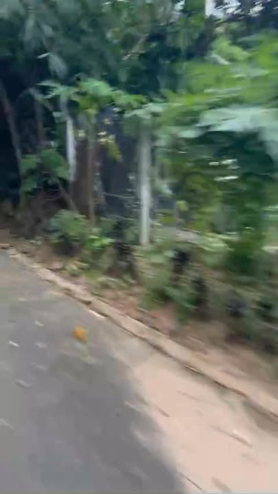 Đất thổ cư Phú An Bến Cát 140m² giá 1.3 tỷ - Cơ hội đầu tư hấp dẫn!