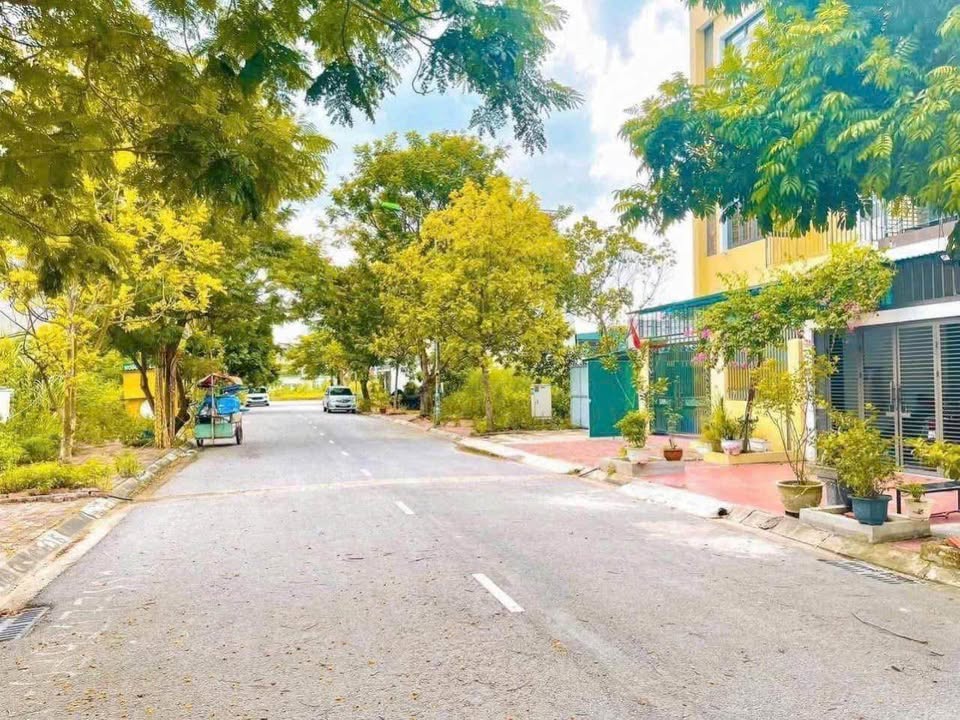 Đất 99m² KĐT Cao Xanh-Hà Khánh B giá 4,2 tỷ - Vị trí đẹp, đầu tư sinh lời!