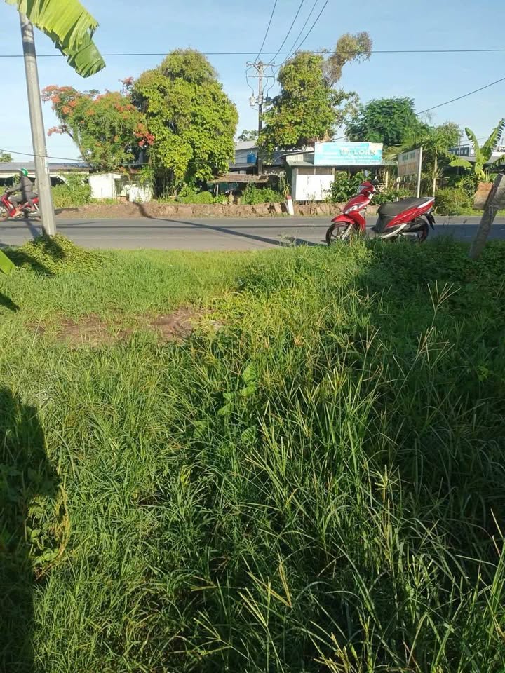 Đất nền mặt tiền Quốc lộ 91, Thốt Nốt, Cần Thơ 213m² - Đầu tư sinh lời ngay!