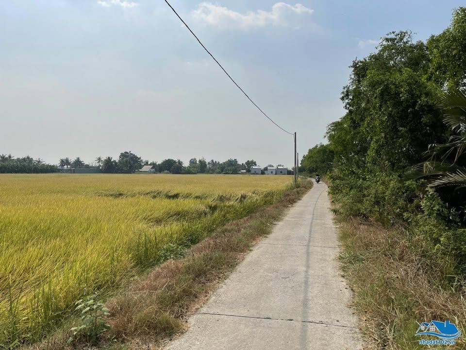 Đất mặt tiền đường La Văn Cầu 602m² giá 450 triệu - Đầu tư sinh lời hấp dẫn!