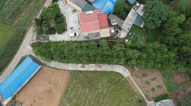 Đất thổ cư và vườn 368m² tại Sơn Cẩm, Thái Nguyên - Giá chỉ 700 triệu!