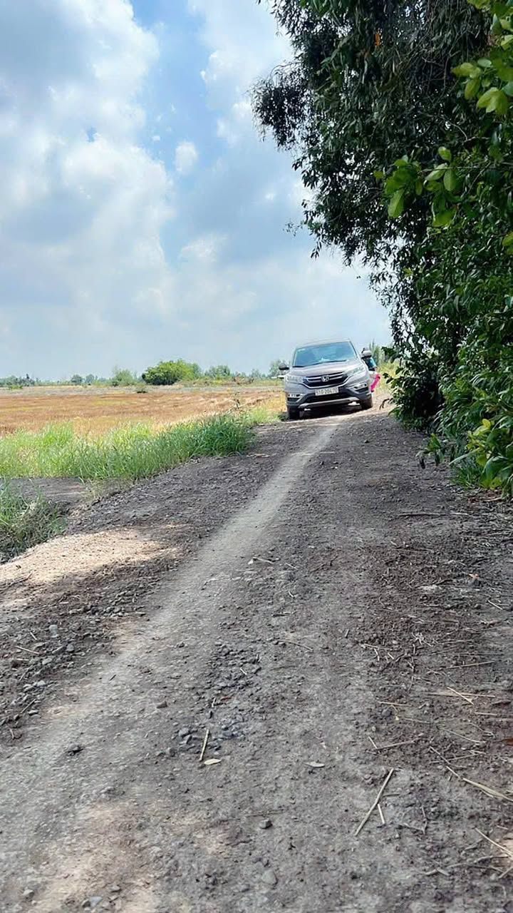 Đất thổ cư 1000m² Tân Thành Thủ Thừa giá 2.1 tỷ - Cơ hội đầu tư hấp dẫn!