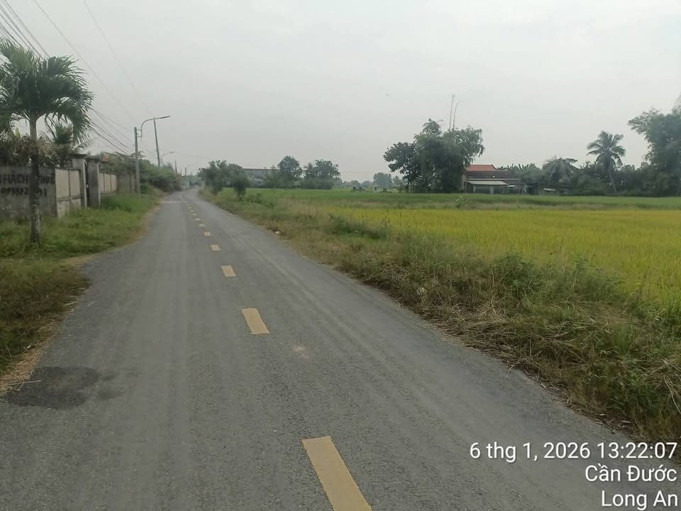 Đất thổ cư mặt tiền đường Nguyễn Quang Đại, Cần Đước 150m² - Giá tốt cho đầu tư!