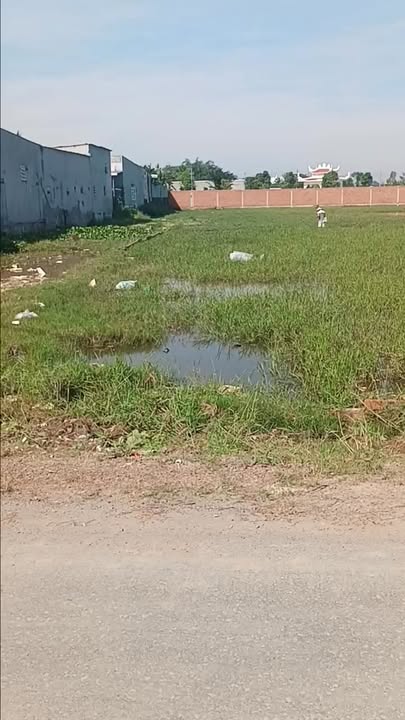 Đất nền mặt tiền đường Nhựa Mỹ Hạnh, Đức Hòa, Long An 1500m² giá 4.2 tỷ - Sổ đỏ chính chủ, sang tên ngay!