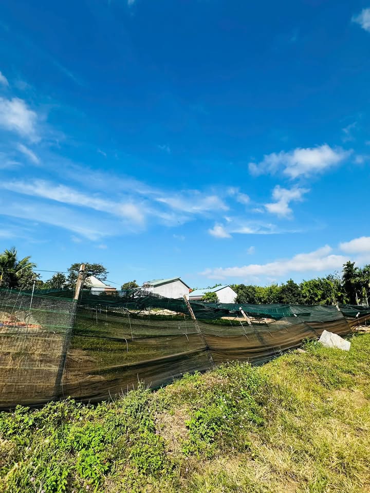 Đất nền Komleo Tân Lập 130m² giá từ 890 triệu - Cơ hội đầu tư tiềm năng!