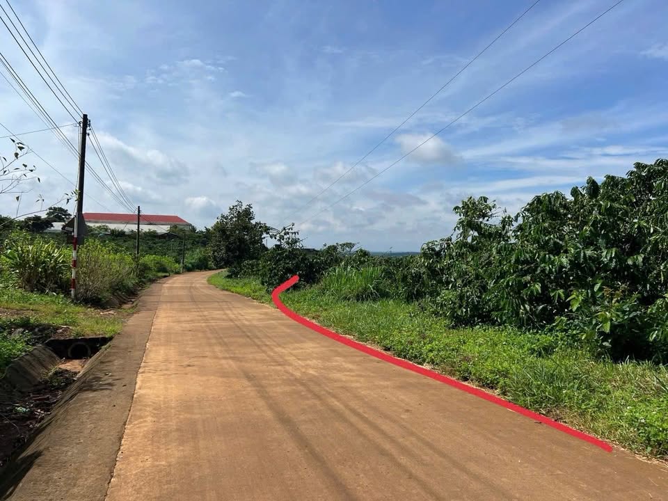 Đất thổ cư 720m² xã Phúc Thọ giá 1.399 tỷ - Đầu tư lý tưởng ngay gần hồ Tân Thanh!