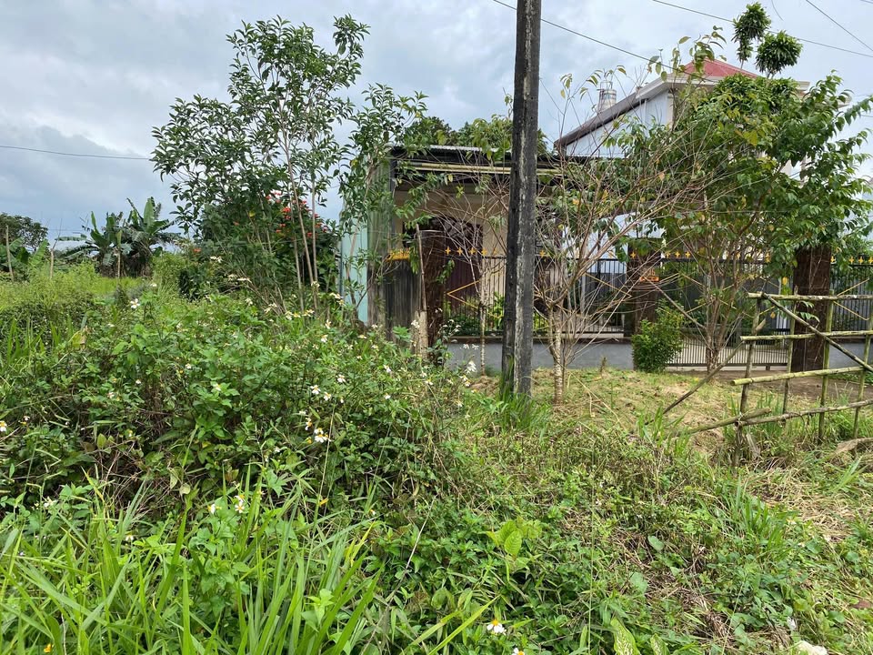 FrontHouse Bảo Lộc 294m² giá 5.3 tỷ - Mặt tiền Lý Thường Kiệt cực thuận lợi!