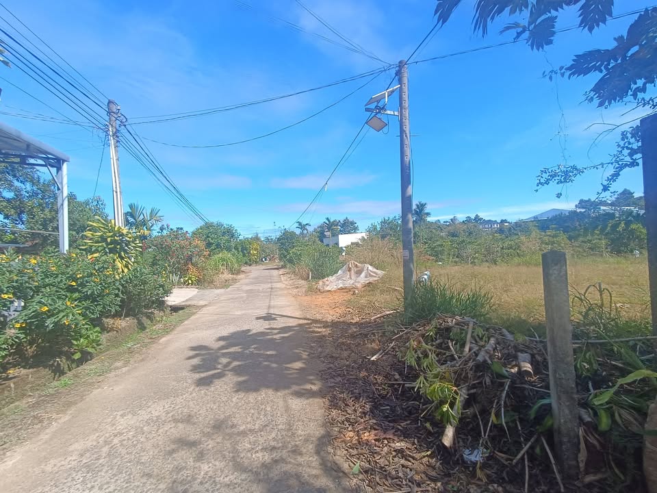 Đất nền 1164m² đường Ỷ Lan, Bảo Lộc chỉ 1.9 tỷ - Cơ hội đầu tư tuyệt vời!